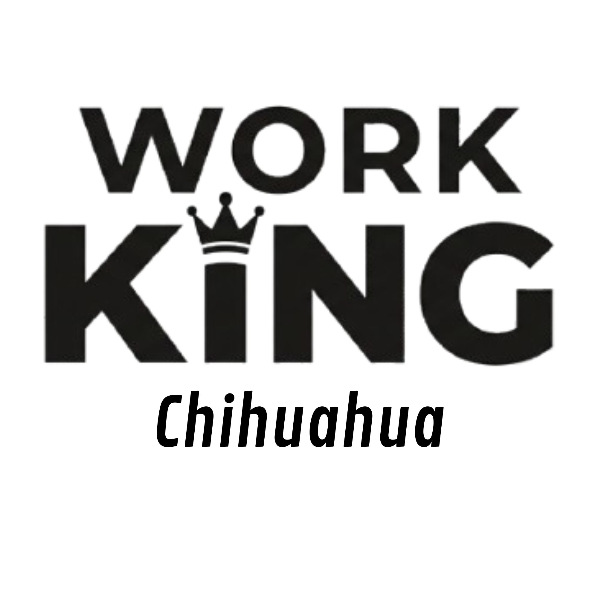 Work King Chihuahua
